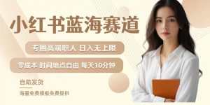小红书蓝海赛道，圈中高端职场人，月入无上限，可矩阵，内含私域实操教程!-大兵轻创资源库