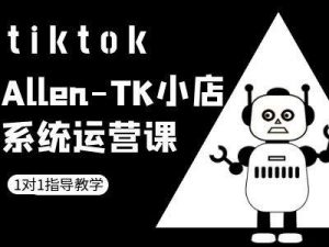 TK小店系统运营课-tiktok跨境电商教程-大兵轻创资源库