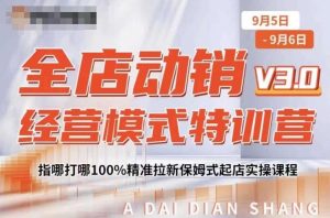 全店动销经营模式特训营，指哪打哪100%精准拉新保姆式起店实操课程-大兵轻创资源库