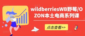 wildberriesWB野莓/OZON本土电商系列课，掌握WB产品优化，出单技巧和订单处理等-大兵轻创资源库