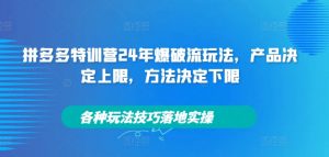 拼多多特训营24年爆破流玩法,产品决定上限,方法决定下限,各种玩法技巧落地实操-大兵轻创资源库