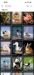 动物科普解说项目，撸创作者伙伴计划收益，保姆级实战教程-大兵轻创资源库