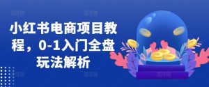 小红书电商项目教程,0-1入门全盘玩法解析-大兵轻创资源库