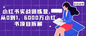 小红书实战训练营,从0到1,6000万小红书项目拆解-大兵轻创资源库