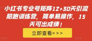 小红书专业号矩阵12+30天引流陪跑训练营，简单易操作，15天可出成绩!-大兵轻创资源库