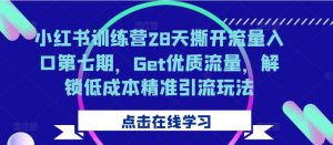 小红书训练营28天撕开流量入口第七期，Get优质流量，解锁低成本精准引流玩法-大兵轻创资源库
