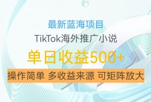 最新蓝海项目,利用tiktok海外推广小说赚钱佣金,简单易学,日入500+,可矩阵放大【揭秘】-大兵轻创资源库