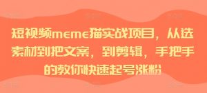 短视频meme猫实战项目，从选素材到把文案，到剪辑，手把手的教你快速起号涨粉-大兵轻创资源库