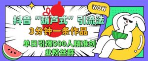 抖音葫芦式引流法，三分钟一条作品，单日引爆抖音500人精准创业粉丝群【揭秘】-大兵轻创资源库
