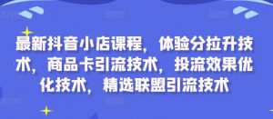 最新抖音小店课程，体验分拉升技术，商品卡引流技术，投流效果优化技术，精选联盟引流技术-大兵轻创资源库