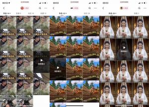 狗熊岭快手连怼技术，好物，涨粉都可以连怼-大兵轻创资源库