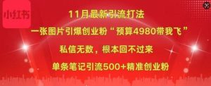 小红书11月最新图片打粉，一张图片引爆创业粉，“预算4980带我飞”，单条引流500+精准创业粉-大兵轻创资源库