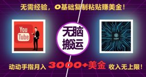 无需经验，0基础复制粘贴赚美刀，动动手指，月入3000+刀，无上限【揭秘】-大兵轻创资源库