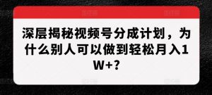 深层揭秘视频号分成计划，为什么别人可以做到轻松月入1W+?-大兵轻创资源库