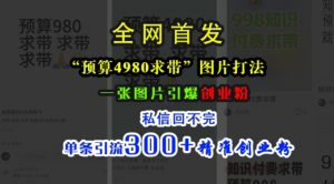 小红书“预算4980带我飞”图片打法，一张图片引爆创业粉，私信回不完，单条引流300+精准创业粉-大兵轻创资源库