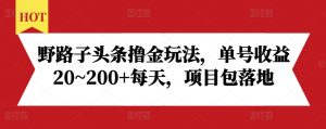 野路子头条撸金玩法，单号收益20~200+每天，项目包落地-大兵轻创资源库