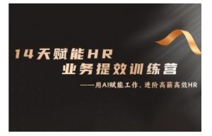 14天ChatGPT赋能HR业务提效训练营,从小白到应用高手-大兵轻创资源库