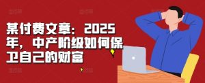 某付费文章：2025年，中产阶级如何保卫自己的财富-大兵轻创资源库
