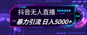 抖音快手视频号全平台通用无人直播引流法，利用图片模板和语音话术，暴力日引流100+创业粉【揭秘】-大兵轻创资源库