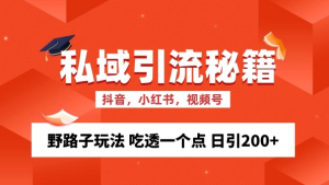 私域流量的精准化获客方法 野路子玩法 吃透一个点 日引200+ 【揭秘】-大兵轻创资源库