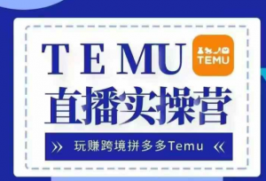 Temu直播实战营,玩赚跨境拼多多Temu,国内电商卷就出海赚美金-大兵轻创资源库