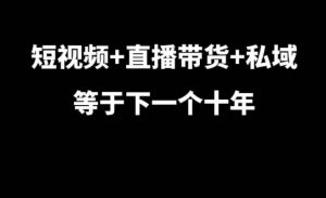 短视频+直播带货+私域等于下一个十年，大佬7年实战经验总结-大兵轻创资源库