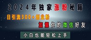 2024年独家涨粉秘籍，日引流300+创业粉，加爆你的微信好友，小白也能轻松上手-大兵轻创资源库