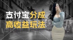 支付宝分成计划新玩法，利用交通事故视频，赚收益，轻松月入过W，操作简单【揭秘】-大兵轻创资源库