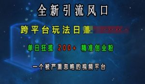 全新引流风口，跨平台玩法日入上k，单日狂揽200+精准创业粉，一个被严重忽略的视频平台-大兵轻创资源库