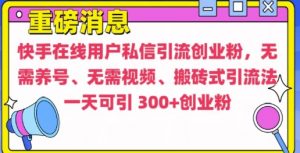 快手最新引流创业粉方法，无需养号、无需视频、搬砖式引流法【揭秘】-大兵轻创资源库