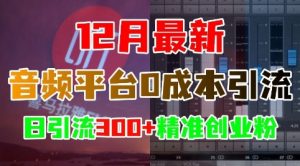 12月最新：音频平台0成本引流，日引流300+精准创业粉-大兵轻创资源库