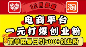 12月最新：电商平台1元打爆创业粉，简单粗暴日引500+精准创业粉，轻松月入过W【揭秘】-大兵轻创资源库