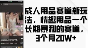 成人用品赛道新玩法，情趣用品一个长期暴利的赛道，3个月收益20个【揭秘】-大兵轻创资源库