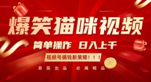 爆笑猫咪视频：简单操作，日入过K，视频号搞钱新策略【揭秘】-大兵轻创资源库