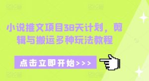 小说推文项目38天计划，剪辑与搬运多种玩法教程-大兵轻创资源库