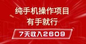 纯手机操作的小项目，有手就能做，7天收入2609+实操教程【揭秘】-大兵轻创资源库