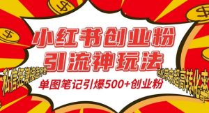 小红书创业粉引流神玩法，单图笔记引爆500+精准创业粉丝，私信狂潮接连不断-大兵轻创资源库