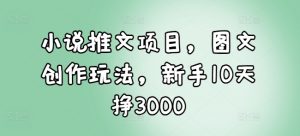 小说推文项目，图文创作玩法，新手10天挣3000-大兵轻创资源库