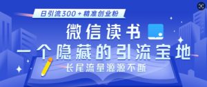 微信读书,一个隐藏的引流宝地,不为人知的小众打法,日引流300+精准创业粉,长尾流量源源不断-大兵轻创资源库