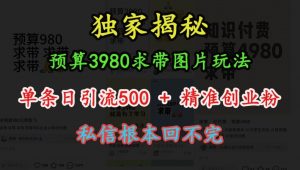 预算3980求带 图片玩法，单条日引流500+精准创业粉，私信根本回不完-大兵轻创资源库