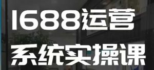 1688高阶运营系统实操课，快速掌握1688店铺运营的核心玩法-大兵轻创资源库