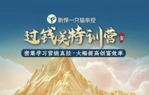 剽悍一只猫-过钱关特训营，学习营销真经 大幅度提高创富效率-大兵轻创资源库
