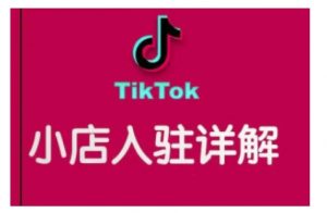 TikTok跨境小店运营全攻略，帮助你独立运营TK跨境小店的能力，实现销量增长-大兵轻创资源库