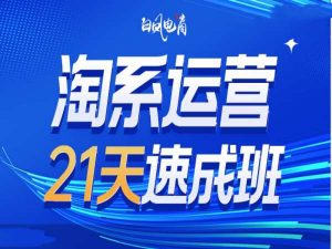 淘系运营21天速成班35期，年前最后一波和2025方向-大兵轻创资源库
