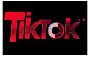 TikTok ads投流秘籍,涵盖tiktok整体投放思路,教你搭建测试计划-大兵轻创资源库