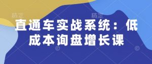 直通车实战系统：低成本询盘增长课，让个人通过技能实现升职加薪，让企业低成本获客，订单源源不断-大兵轻创资源库