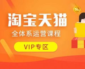 淘宝天猫全体系运营课程：店铺全系运营、动销玩法、付费推广、流量提升、擦边球玩法等等-大兵轻创资源库