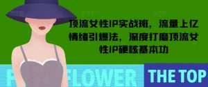 顶流女性IP实战班，流量上亿情绪引爆法，深度打磨顶流女性IP硬核基本功-大兵轻创资源库
