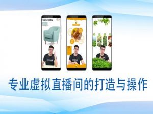 个人虚拟直播间的搭建与操作，专业虚拟直播间的打造与操作-大兵轻创资源库