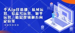 个人ip打造课,私域运营,公众号运营,知乎运营,底层逻辑和方向定位等-大兵轻创资源库